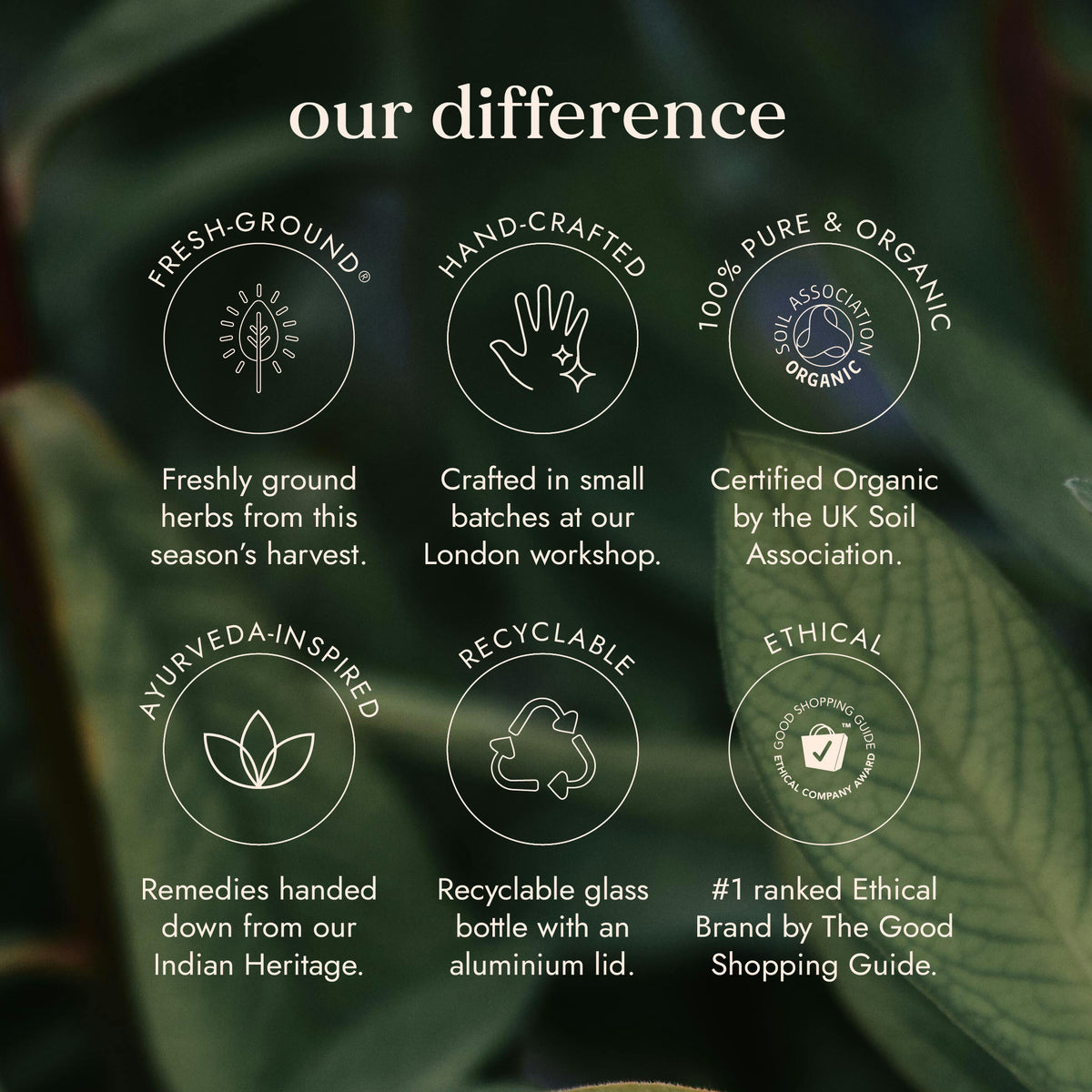Fushi Organic Ashwagandha