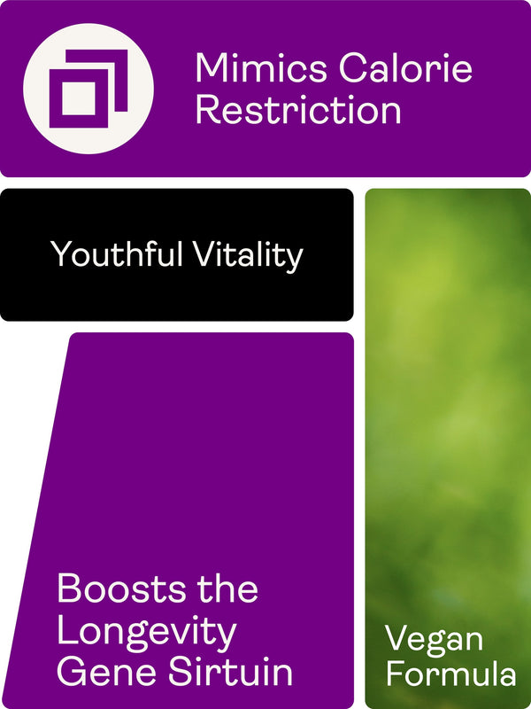 A digital graphic card for a supplement called 'Mimics Calorie Restriction'. The design features purple and black text blocks with a green blurred background on the right, containing text like 'Youthful Vitality' and 'Boosts the Longevity Gene Sirtuin'.