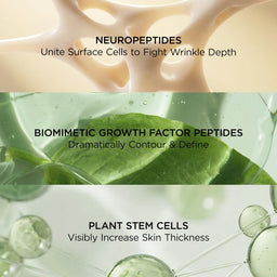 Perricone MD Neuropeptide Corrective Brightening Under-Eye Cream 15ml