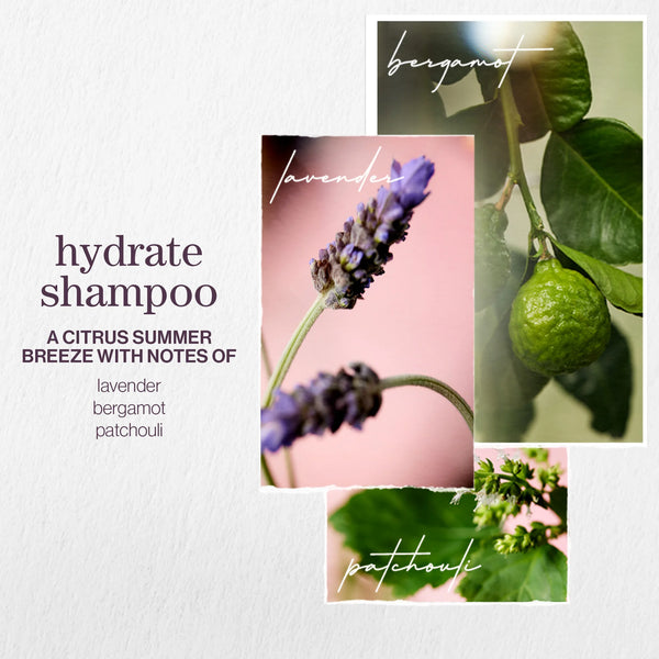 Pureology Hydrate Nourishing Shampoo 1000ml
