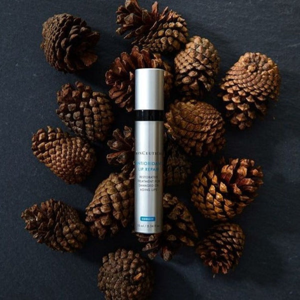 SkinCeuticals Antioxidant Lip Repair tube on a pile of pine cones 