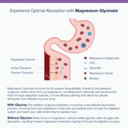 Metagenics Magnesium Glycinate 60 Tablets