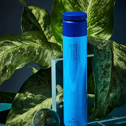 a bottle of R+Co Bleu Retroactive Dry Shampoo in front of a plant