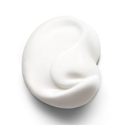 Bioderma Hydrabio Moisturising Cream Dehydrated Skin cream