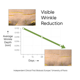 Hibiscus Night Cream Visible Wrinkle Reduction Chart
