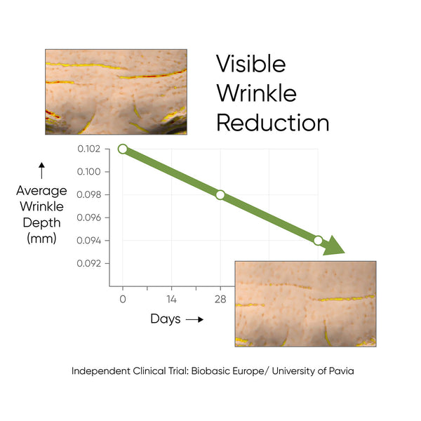 Hibiscus Serum Visible Wrinkle Reduction